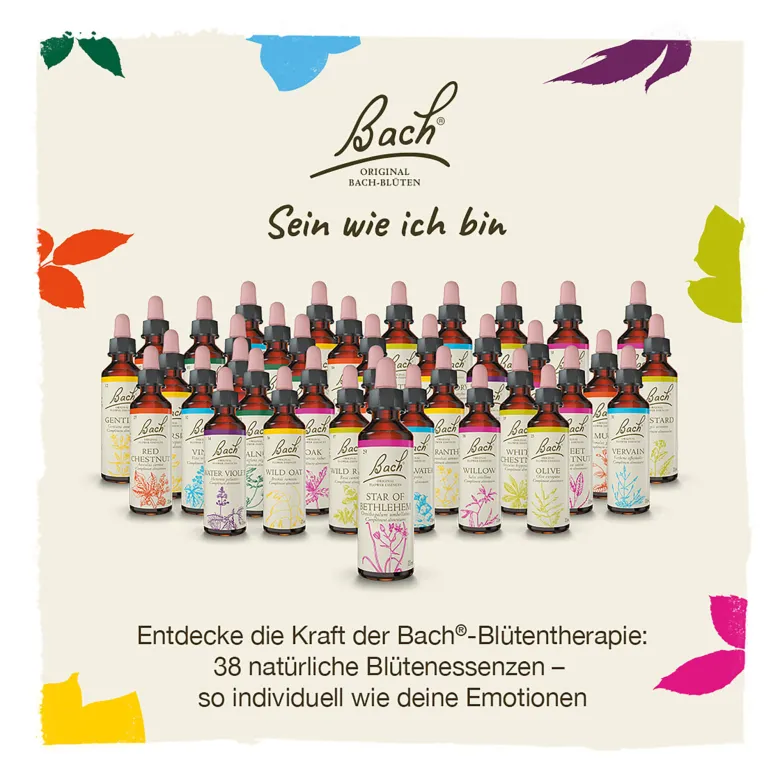 Bachblüte Wild Oat, 20 ml