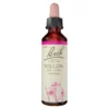 Bachblüte Willow, 20 ml