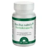 Bacillus subtilis plus Nattokinase-Enzym Vitamin K2 vegan, 60 St