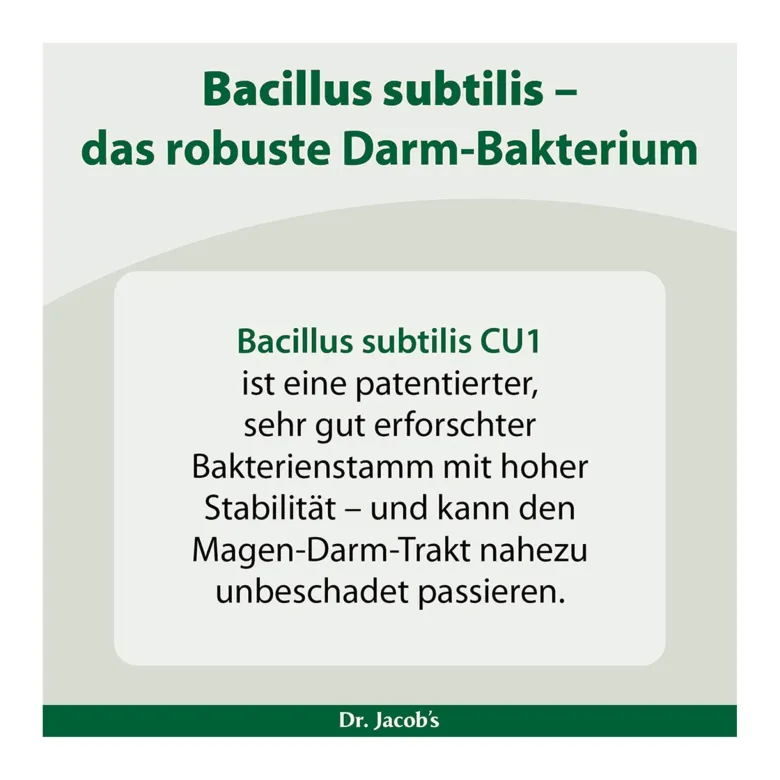 Bacillus subtilis plus Nattokinase-Enzym Vitamin K2 vegan, 60 St