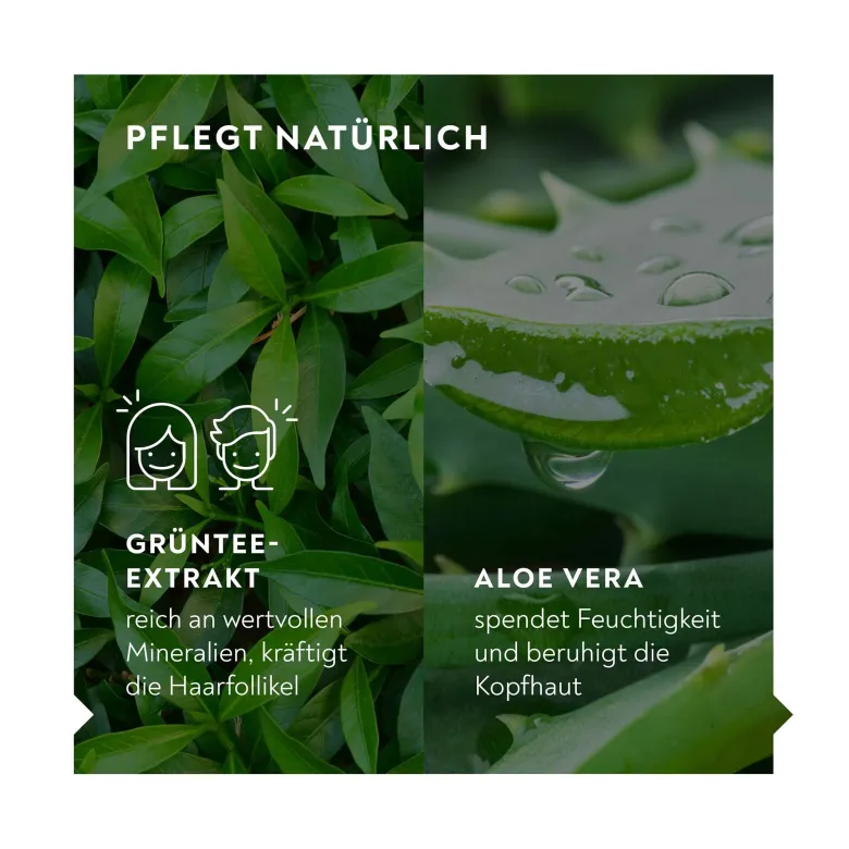 Bio-H-Tin Pflege Shampoo, 200 ml