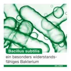 BioticLoges subtilis Kapseln, 15 St