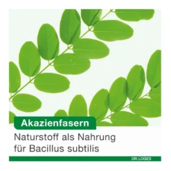 BioticLoges subtilis Kapseln, 15 St