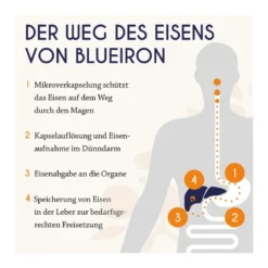 BlueIron Eisenkapseln, 60 St