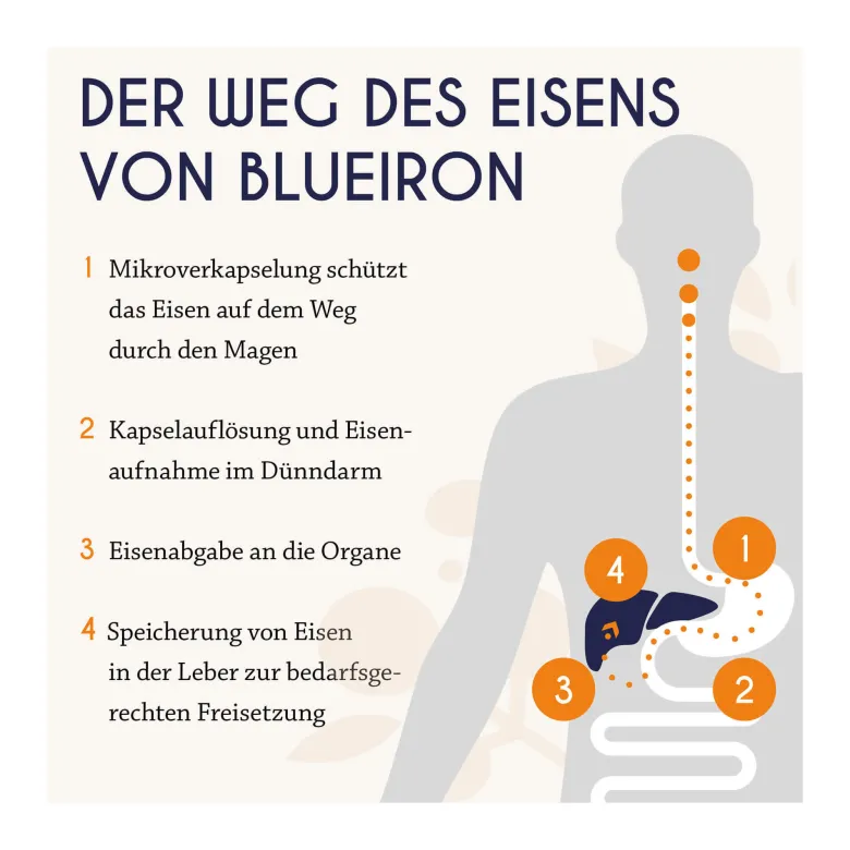 BlueIron Eisenkapseln, 60 St