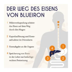 BlueIron Eisen Liquid, 250 ml