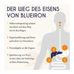 BlueIron Pregnancy Eisen Liquid, 250 ml
