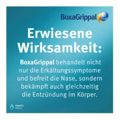 BoxaGrippal forte Erkältungstabletten 400 mg/60 mg, 12 St