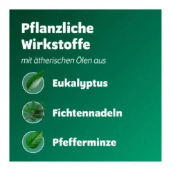 Bronchoforton Salbe, 40 g