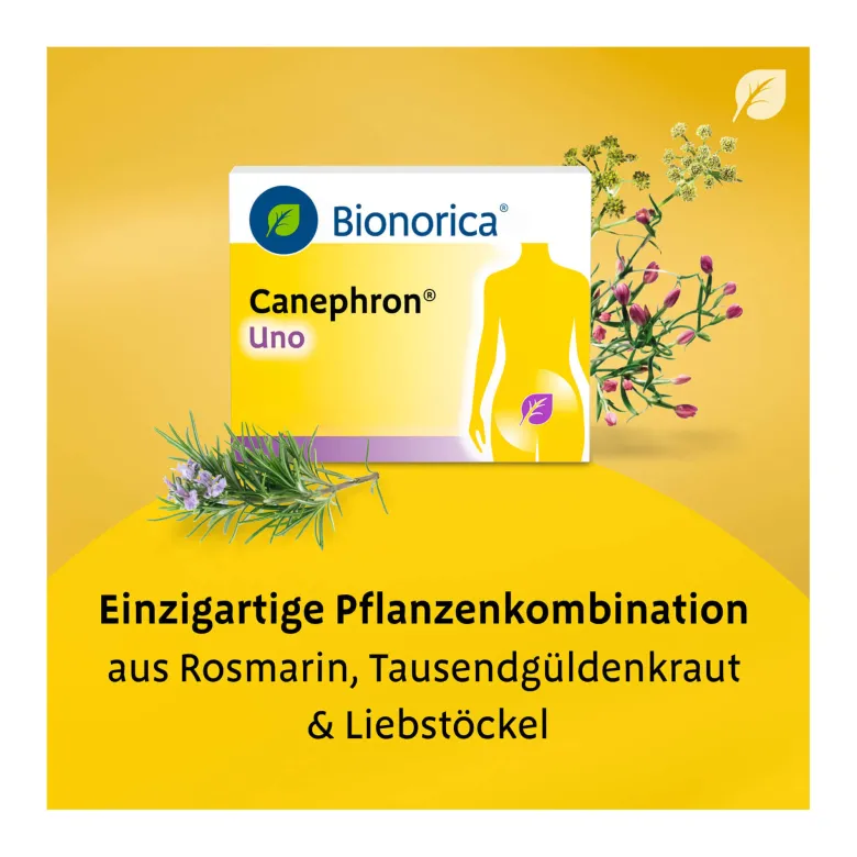 Canephron Uno überzogene Tabletten, 30 St