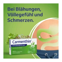Carmenthin Weichkapseln bei Verdauungsstörungen, 84 St