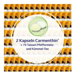 Carmenthin Weichkapseln bei Verdauungsstörungen, 84 St