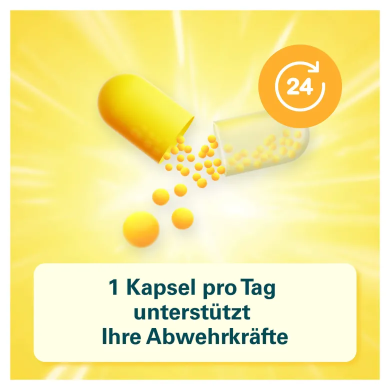 Cetebe Abwehr plus Kapseln, 120 St