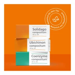 Coenzyme compositum ad us. vet. Ampullen, 10 St