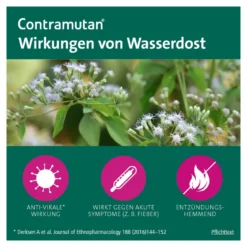 Contramutan Tabletten, 40 St