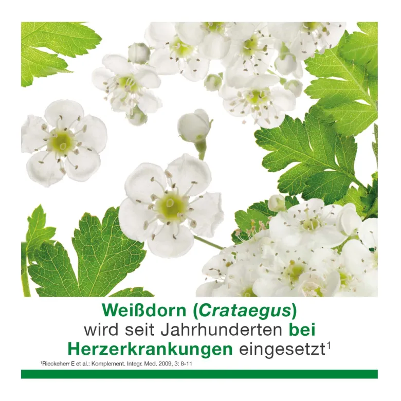 Cratae-Loges 450 mg Weißdorn Filmtabletten, 100 St