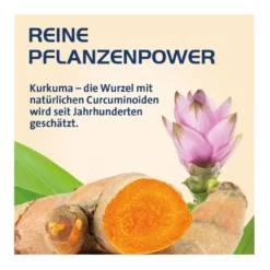 Curcumin Hevert OptiSolv Kapseln, 60 St