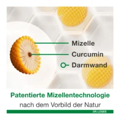 Curcumin-Loges Kapseln, 60 St
