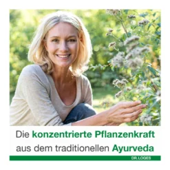 Curcumin-Loges Kapseln, 120 St
