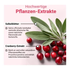 Döderlein CystoBiotic Milchsäurebakterien+Cranberry Pulver, 10X4 g