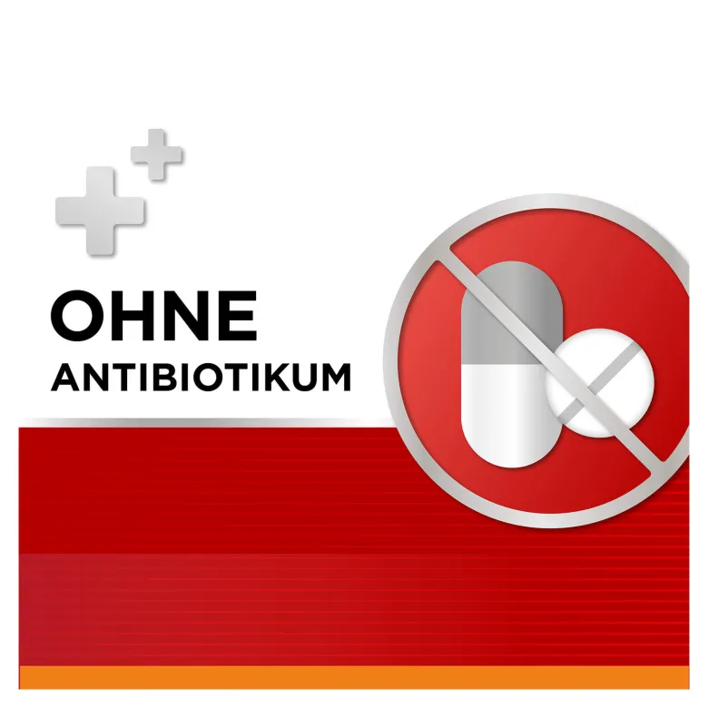 Dobendan Direkt Zuckerfrei Lutschtabletten, 24 St