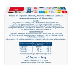 Doppelherz aktiv Magnesium 500+B12+D3 Depot DIRECT Sticks, 60 St