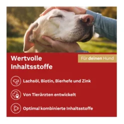 Doppelherz für Tiere Haut & Fell Complex für Hunde, 60 St