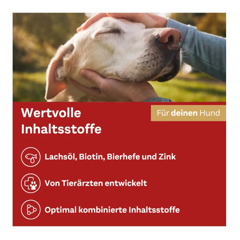 Doppelherz für Tiere Haut & Fell Complex für Hunde, 60 St