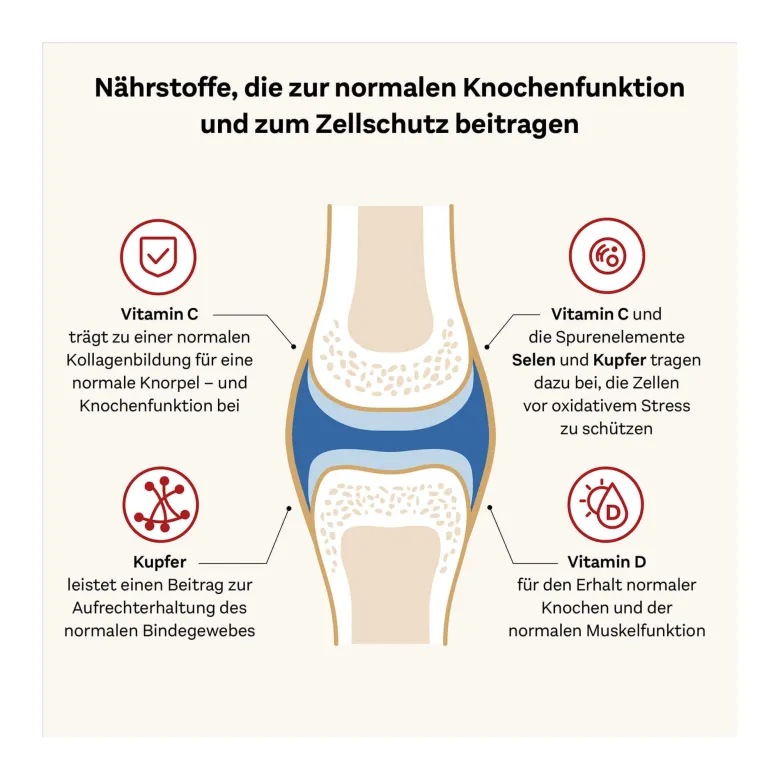 Doppelherz system Kollagen 11.000 Plus Ampullen, 30X25 ml