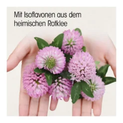 Dr. Böhm Isoflavon 90 mg Dragees, 60 St