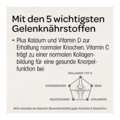 Dr. Böhm Knorpel & Knochen intensiv Trinkpulver, 30X5.7 g