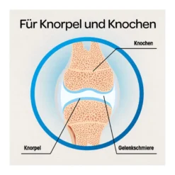 Dr. Böhm Knorpel & Knochen Tabletten, 120 St