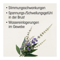 Dr. Böhm Mönchspfeffer 4 mg Filmtabletten, 60 St
