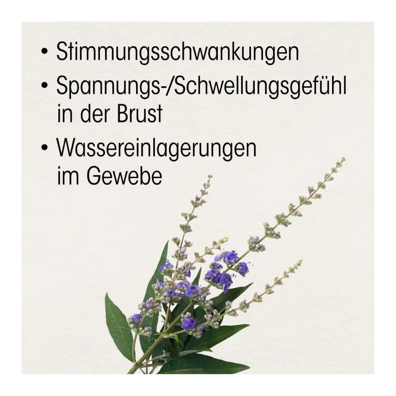 Dr. Böhm Mönchspfeffer 4 mg Filmtabletten, 60 St