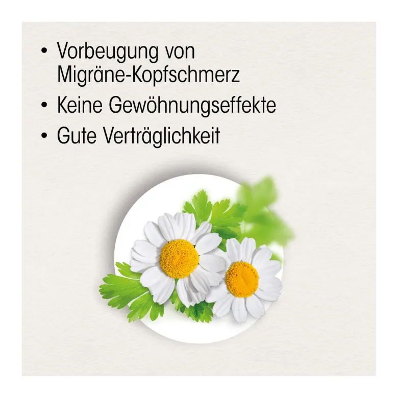 Dr. Böhm Mutterkraut 200 mg Filmtabletten, 60 St