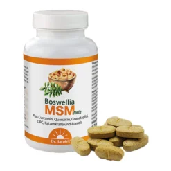 Dr. Jacob's Boswellia MSM forte Weihrauch Quercetin OPC, 90 St
