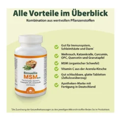 Dr. Jacob's Boswellia MSM forte Weihrauch Quercetin OPC, 90 St