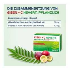 Eisen+C Hevert pflanzliche Kapseln, 60 St