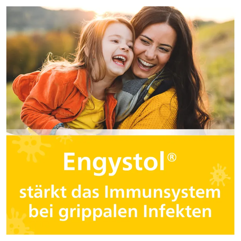 Engystol Tabletten, 250 St