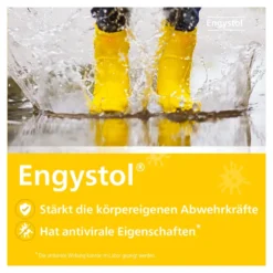 Engystol Tabletten, 250 St