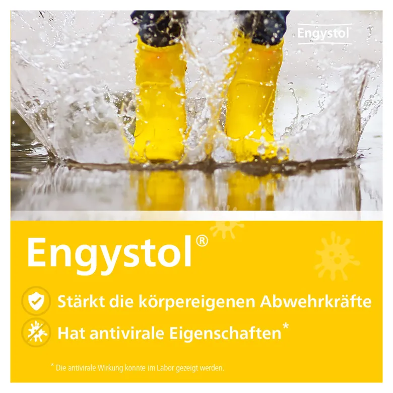 Engystol Tabletten, 250 St