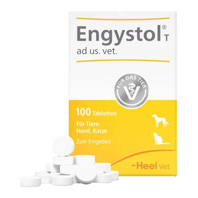 Engystol T ad us. vet. Tabletten, 100 St