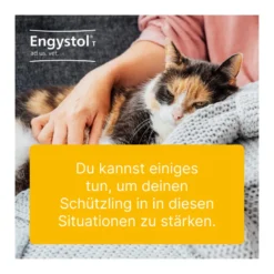 Engystol T ad us. vet. Tabletten, 100 St