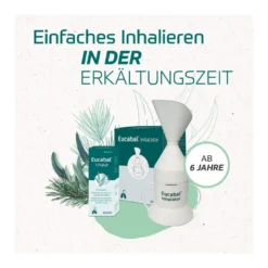 Eucabal Inhalator, 1 St