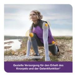 FlexiLoges Knorpel aktiv Kapseln, 120 St