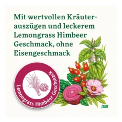 Floradix Eisen Direktsticks, 20 St