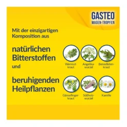 Gasteo Magen-Tropfen bei Magen-Darm-Beschwerden, 100 ml