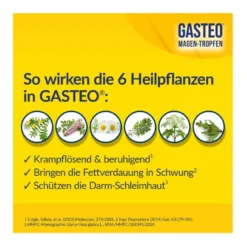 Gasteo Magen-Tropfen bei Magen-Darm-Beschwerden, 20 ml