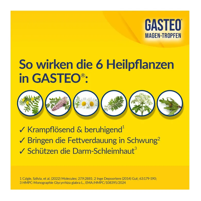 Gasteo Magen-Tropfen bei Magen-Darm-Beschwerden, 20 ml