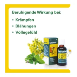 Gastricholan-L Flüssigkeit zum Einnehmen, 30 ml